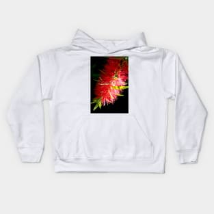 Red Callistemon Kids Hoodie